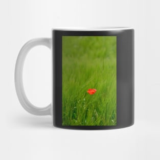 Poppy in Wheat Field Mug